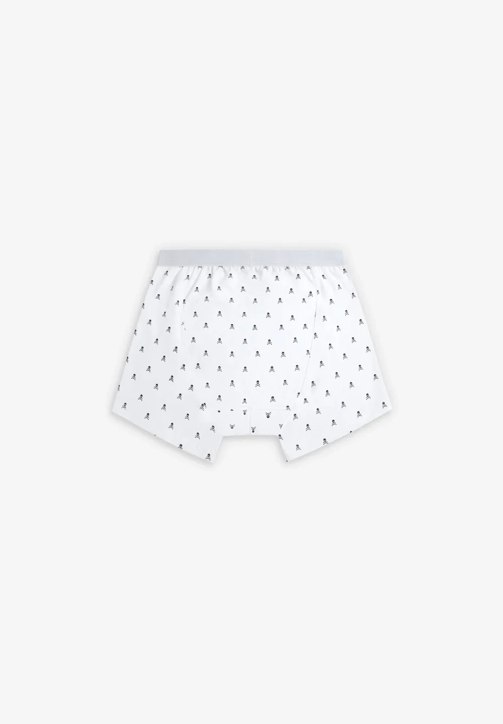 Boxer Skull - Image 2