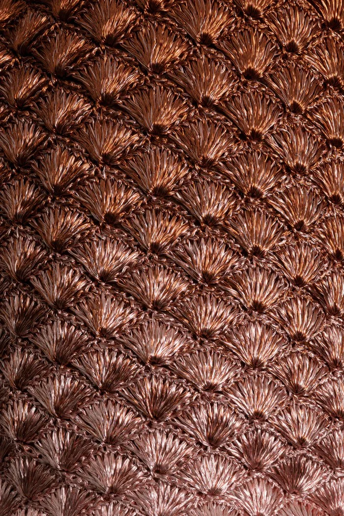 Clutch Seashell - Image 2